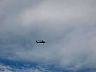 IMG_1925.jpg
