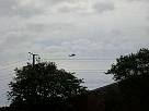 IMG_1926.jpg