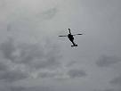 IMG_1927.jpg