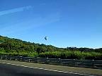 IMG_4506.JPG