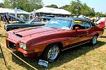 greenwichconcours0144.jpg