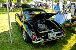 greenwichconcours0234.jpg