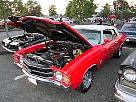 IMG_9939.JPG