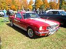 IMG_1131.jpg